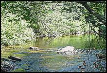 nescopeck pennsylvania real estate